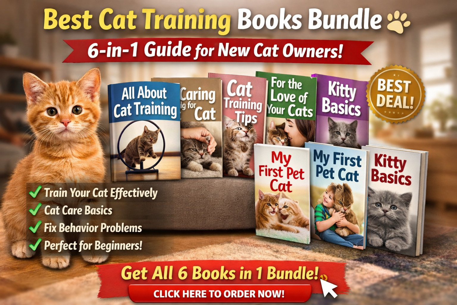 The Best Cat Training Books Bundle for Beginners (6-in-1 Guide)